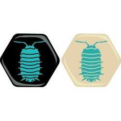 Hive: Pillbug