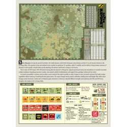 Silver Bayonet: The First Team in Vietnam