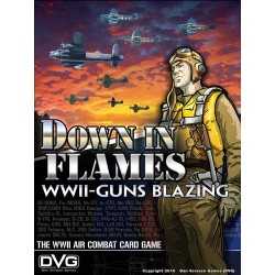 Down in Flames WWII Guns Blazing