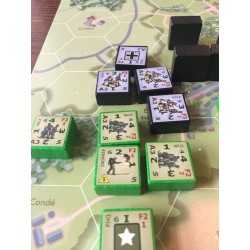 Combat Infantry