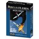 Down In Flames Aces High 2nd edition reprint
